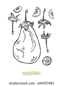 Black and white vector sketch of vegetables (eggplant or aubergine, whole and slices of it and its peduncles), initially hand drawn in Chinese ink, isolated on white