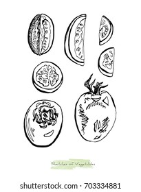 Black and white vector sketch of vegetables (tomatoes with peduncles, whole and slices), initially hand drawn in Chinese ink, isolated on white