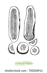 Black and white vector sketch of vegetables (cucumbers cut in half along and slices), initially hand drawn in Chinese ink, isolated on white