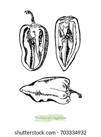 Black and white vector sketch of vegetables (peppers with peduncles, whole and cut in half along), initially hand drawn in Chinese ink, isolated on white