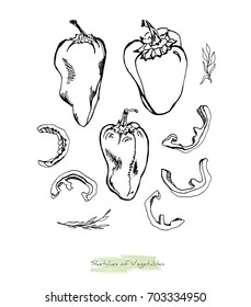 Black and white vector sketch of vegetables (whole peppers with peduncles and slices and herbs), initially hand drawn in Chinese ink, isolated on white