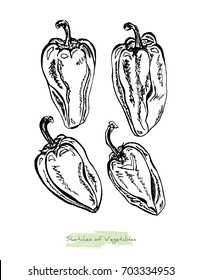 Black and white vector sketch of vegetables (whole peppers with peduncles), initially hand drawn in Chinese ink, isolated on white