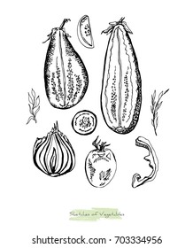 Black and white vector sketch of vegetables (eggplants or aubergines cut in half along, tomato, onion, slices of pepper and cucumber, herbs), initially hand drawn in Chinese ink, isolated on white