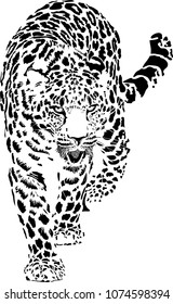 Black and white vector sketch of walks leopard