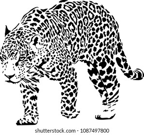 Cartoon Jaguar Images, Stock Photos & Vectors | Shutterstock