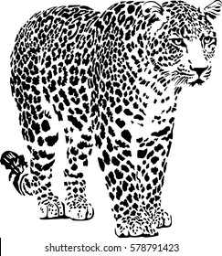 Black and white vector sketch of walks Jaguar