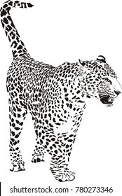 Black White Vector Sketch Walks Jaguar Stock Vector (Royalty Free ...