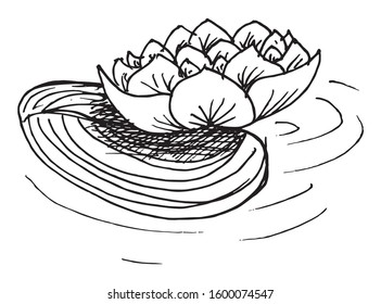 Black and white vector sketch water-lily flower