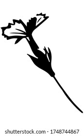 boceto vectorial blanco y negro flor silvestre en un tallo delgado