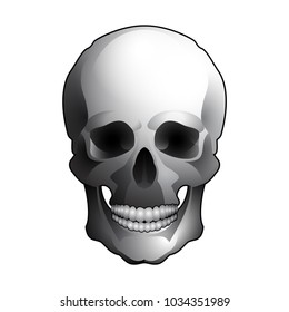 It is black and white vector skull