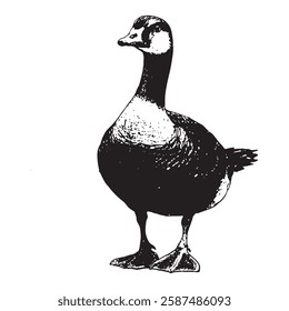 black and white vector of a standing goose in vintage engraving style. detailed hand-drawn illustration perfect for farm-themed, nature, and wildlife designs
