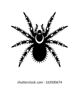Black & white vector of tarantula