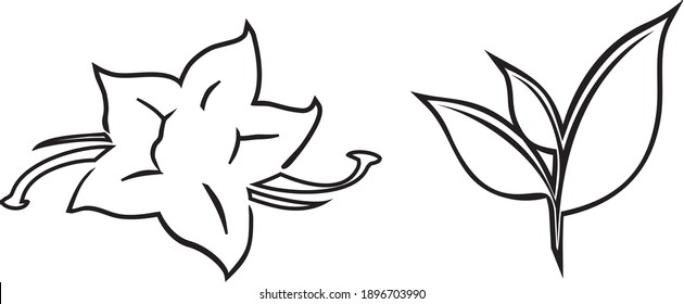 Black and white vector: tea, sheet, cinnamon