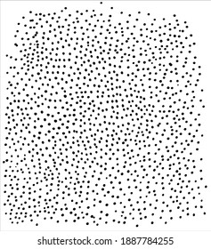 Black and white vector texture, lots of small black dots that are often evenly spaced on a white background, cosmic dust, starry sky, explosion effects, textured design element, chaotic pattern