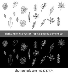 Black and white vector tropical leaves, jungle leaves, Element Set