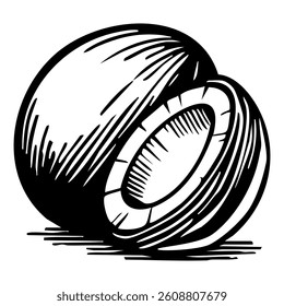A black and white vector two coconuts, one slightly behind the other, showcasing their textured shells and white inner flesh.