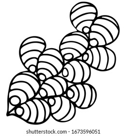 Black And White Vector Zenart Illustration On White Background. Isolated Abstract Element. Coloring page for adult.