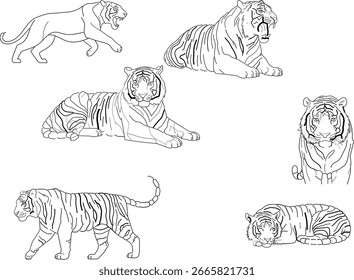 Black and white vectors of tiger