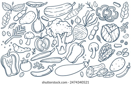 Conjunto de ilustración de garabato vegetal blanco y negro. Conjuntos dibujados a mano de verduras aisladas sobre fondo blanco en estilo colorido.