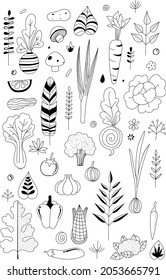 Black and white vegetables garden