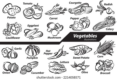 black and white vegetables illustrations doodle set collection drawing free hand style nature vector illustration