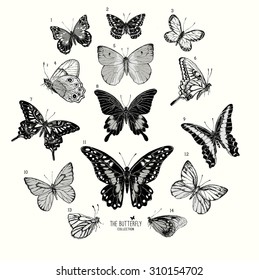 Black and white vintage butterflies.