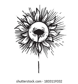 Black and white vintage etched art. Ink drawn ghotic plot of mystic sign. Clipart for sticker, tattoo, print. Shining sun, rays, flower petals and eye bleeding from open eyelid in center of circle.