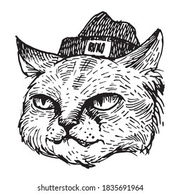 Black And White Vintage Etched Art. Ink Drawn Ghotic Clipart For Sticker, Tattoo, Print. Urban Daring Street Cat With Angry Look. Portrait Of Furry Animal Head In Knitted Hat. Outlaw Gang Character.