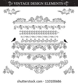 Black and white Vintage ornament set. Vector illustration