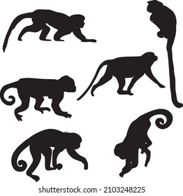 black and white walking monkey silhouette illustration