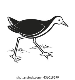 black & white water hen walking-vector drawing