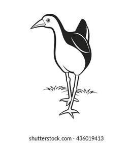 black & white water hen walking-vector drawing