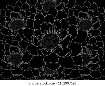 Black and white water Lilly pattern.