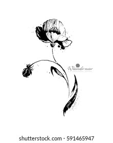 black and white watercolor flower on white background