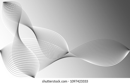 The Black and White wave vector Abstract background. 