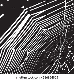 Black White Web Overlay Texture For Your Design. EPS10 vector.