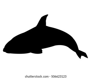 Black and white whale design