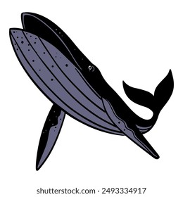 black and white whale hand drawn vector illustration.