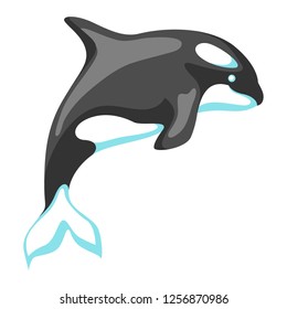 Black and white whale killer. Stylized illustration, icon or emblem.