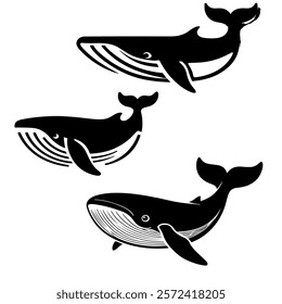 Black and white whale vector illustration depicted