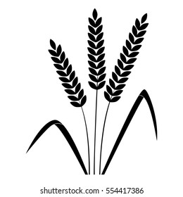 Black and white wheat