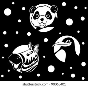 black and white wild animals