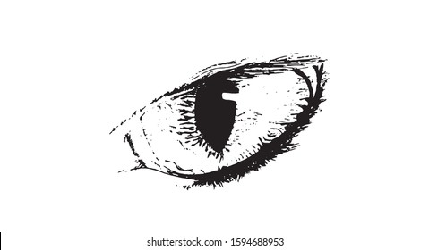 black and white wild cat eye vector for print or tattoo