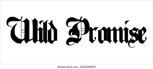 Black and white WILD PROMISE  text vector, 3D typographic design.