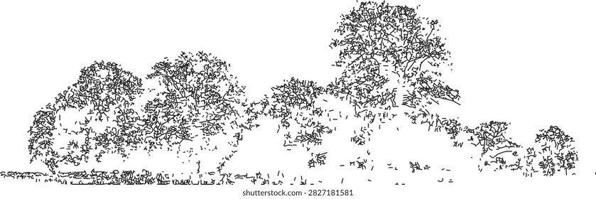 Black and white of a windswept tree a grassy hill with sparse bushes nature. vector design