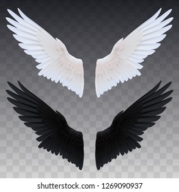 Black and white wings