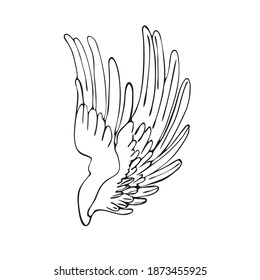 Black and white wings. Pair of white isolated angel style wings with feathers on white background in doodle style for valentines, women, mothers day greeting cards graphic design