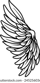 black and white wings without background