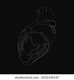 Um desenho aramado preto e branco de um coração humano com detalhes complexos de veias e artérias. O forte contraste com o fundo preto destaca a precisão anatômica.