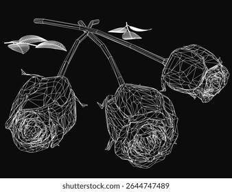 Black and white wireframe roses with intricate petal and stem details stand out against a dark background. The three-dimensional design creates a realistic floral representation with elegant contrast.